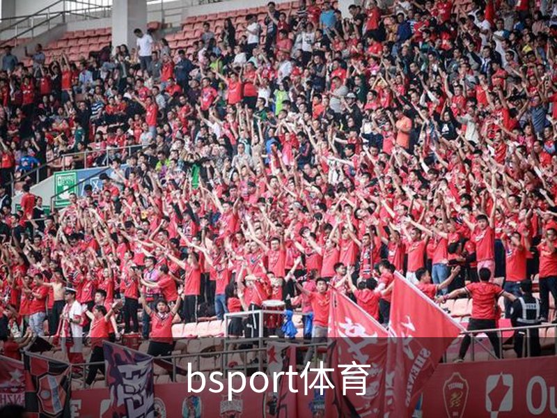 bsport体育简介